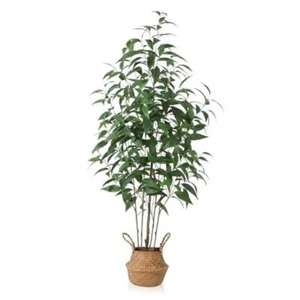 Artificial Eucalyptus Tree,5Ft Tree Fake Plant in Pot for Home and 5 FT 1 - Picture 1 of 8