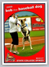 Bob the Baseball Dog Grandstand State College Spikes 2009 Bat Dog