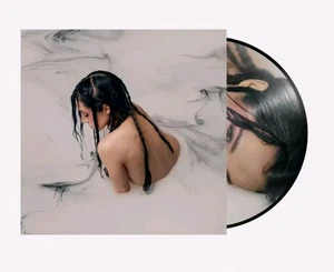 Poppy Negative Spaces Zeotrope LP Picture Disc Vinyl In Hand - Picture 1 of 5