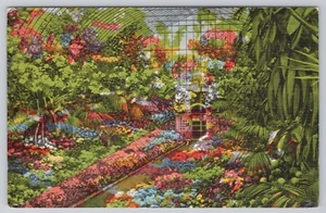 Gewächshaus Shaw's Garden St. Louis Missouri  - Bild 1 von 2