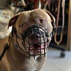 Pit Bull Terrier Dog Mouth Guard Basket Muzzle Black Rubber Coated Soft Padded