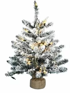 24" Pre-Lit Flocked Artificial Anoka Pine Christmas Tree with 35 Lights - Picture 1 of 2
