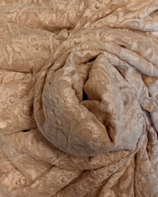 Nude/Beige Flesh Color Floral Sheer 4-Way Stretch Knit Fabric SOLD BTY - Image 1 of 4