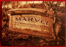 THE WIZARD OF OZ - Card #06 - PROFESSOR MARVEL'S CARAVAN - BREYGENT 2006