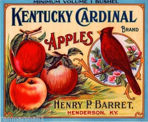 Henderson Kentucky Cardinal Bird Apple Fruit Crate Label Vintage Art Print - Picture 1 of 1