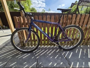 Cannondale M600 With Pepperoni Forks - Picture 1 of 15
