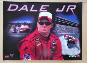 2007 Stern Pinball Translite-Dale Jr-NOS- - Picture 1 of 4