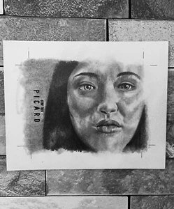 Star Trek Picard sezon 2 i 3 Artist Return Karta kolekcjonerska Danny Hayman - Zdjęcie 1 z 3