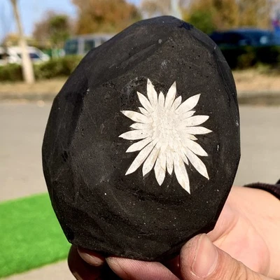 327G Natural Chrysanthemum Stone Quartz Carving Halo Treatment Gift - Image 1 of 4