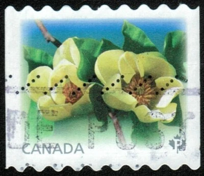 Canadá sc#2622 Magnolias: Pájaro Amarillo, Unidad de Bobina - Usado Foto 1 de 2