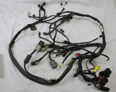 Harley Davidson XG500 2015 arnés de cableado calle Foto 1 de 4