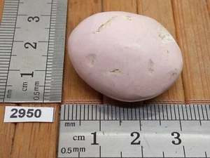 PHOSPHOSIDERITE pierre roulée naturelle de qualité 14,5g lithotherapie reiki - Picture 1 of 4