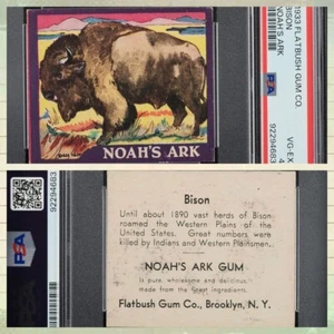 1933 Flatbush Gum Noah's Ark Bison - PSA 4 VGEX - Bild 1 von 3