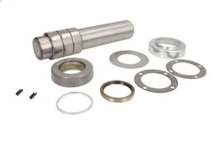 Repair Kit, kingpin C.E.I 230.133 for Series 300 14.6 1991-2002 - Picture 1 of 6