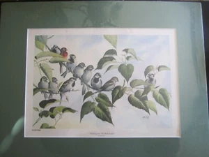 Vtg 1970s Larry Toschik LE Lithograph 257/500 Sparrows “Waiting for Feeder” - Picture 1 of 5