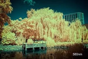 580nm Infrared Filter False Colour 67mm UK Seller, 2-3 day delivery Delivery - Picture 1 of 13