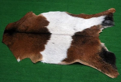 GOAT Western taxidermy Hide Rug Natural Pattern Fur Goat Hide Rode SA-1245 - Image 1 of 3