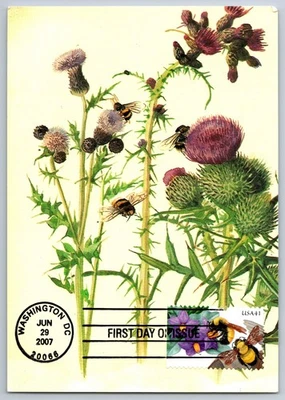 #4153 Protect Pollinators Bumble Bees and Nightshade FDC Maxi Card - Image 1 of 2