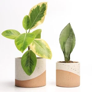 Pots for Indoor Plants, 2 Set Flower Pots 5.4/4.3 Inch with Drainage, Double Col - Picture 1 of 4