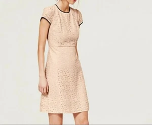 Vestido Ann Taylor Loft Mujer Talla 6 Beige Encaje Manga Corta Hasta la Rodilla Ajuste y Acampanado - Imagen 1 de 13