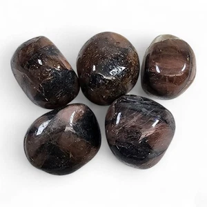 Chiastolite Andalusite Crystal Cross Polished Stones 58.9 grams. - Picture 1 of 1