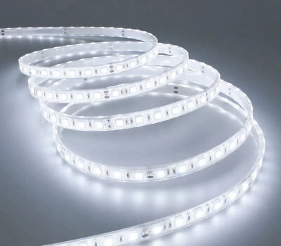 Striscia LED 5M 8mm Luce Fredda Tagliabile Adesiva Siliconata IP65 SMD 2835 - Immagine 1 di 4