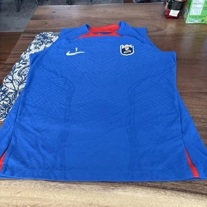 Nike Dri Fit Seattle Reign DAMEN-Fußball-SPIELERWESTE Team ausgestellt BLAU #1 DICKEY - Bild 1 von 9
