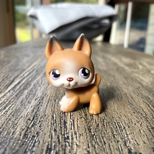 Littlest Pet Shop German Shepherd #112 Authentic G1 Hasbro LPS Dog + 1 Accessory - Picture 1 of 6