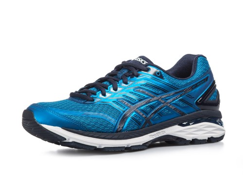Scarpe uomo Asics GT 2000 5 (41 5 euro 26 m)
