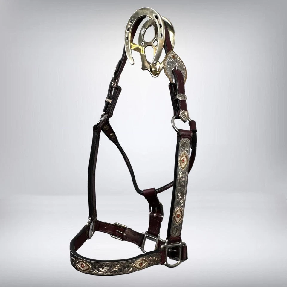 Halter y plomo Kathy's Tack marrón oscuro Show Foto 1 de 4