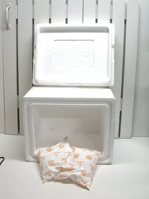 Creative Packaging Styrofoam Ship Cooler & Gel Packs 10.5" D x 13.5" L x 11" H - Image 1 of 2