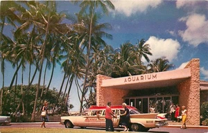 1950s Waikiki Hawaii Front entrance Aquarium Helbig's Crocker Postcard 25-6969 - Imagen 1 de 2