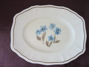 KENSINGTON Staffordshire Ironstone 14" Platter with Blue Flowers - Picture 1 of 3