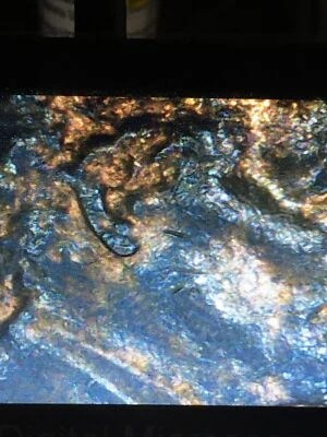 2011d Error Cent~Doubled Ear - Image 1 of 4