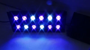 Algae Clean Scrubber Replacement LED All ACS-10 (2) set WSR-S12PK18V - Picture 1 of 9