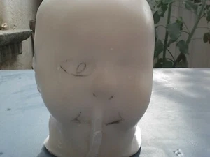 Schädel Dummy Probe - (nur zu Illustrationszwecken verwendet) - Bild 1 von 12