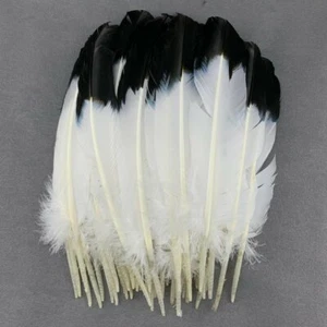 Turkey Plume Black White Pheasant Feathers Natural 28-33Cm / 10-12 INCH For DIY - Picture 1 of 12
