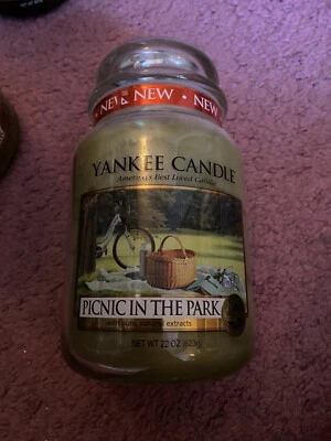 Grand pot Yankee 22 oz picnic in the parc rare retraité VHTF - Photo 1/3