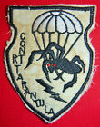 Patch - Recon Team Tarantula - Airborne Special Ops - CCN  - Vietnam War - M.586