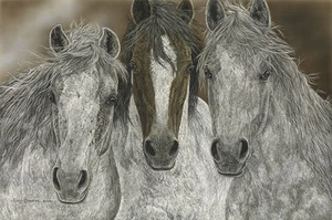 Judy Larson THE MISFITS giclee canvas Horses #200/200 - Picture 1 of 1