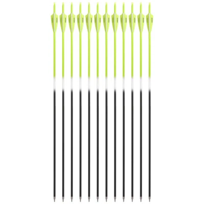 30" Carbon Arrows SP500 3" Shield Rubber Vanes Archery Shooting Hunting Target - Image 1 of 4