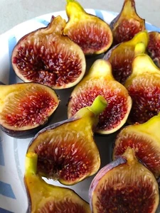 Fig Tree Combo 7 Trees - Picture 1 of 5
