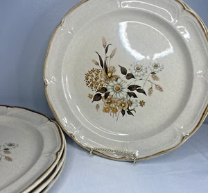 Vintage Finesse Wellington Steinzeug 4 Essteller 10 1/2" -SY-7651 Steinzeug JPN - Bild 1 von 8