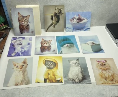 Cat Kitty Cards Rachael Hale Leanin’Tree With Envelopes Duplicates - Image 1 of 4