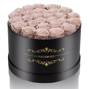 27 Piece Forever Preserved Roses in a Box, Preserved Flowers for Delivery Bir... - Picture 1 of 6