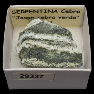 SERPENTINA Cebra (Brasil) #29337 / Green zebra jasper - Picture 1 of 1