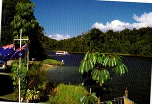 Lake Barrine North Queensland Australia Postcard - Picture 1 of 2