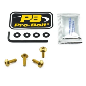PRO BOLT SK416G SCR KIT SCREEN 4 GD KAWASAKI Z 900 ABS 2020 - Foto 1 di 1
