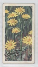 1964 Brooke Bond Wild Flowers Series 3 Corn Marigold #47 0f8