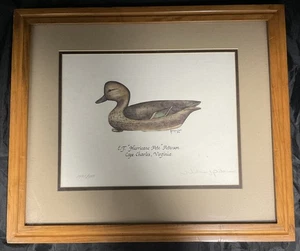 Stampa anatra Peterson firmata 2551/5000 20,5"W x 17,50"H @FS - Foto 1 di 7